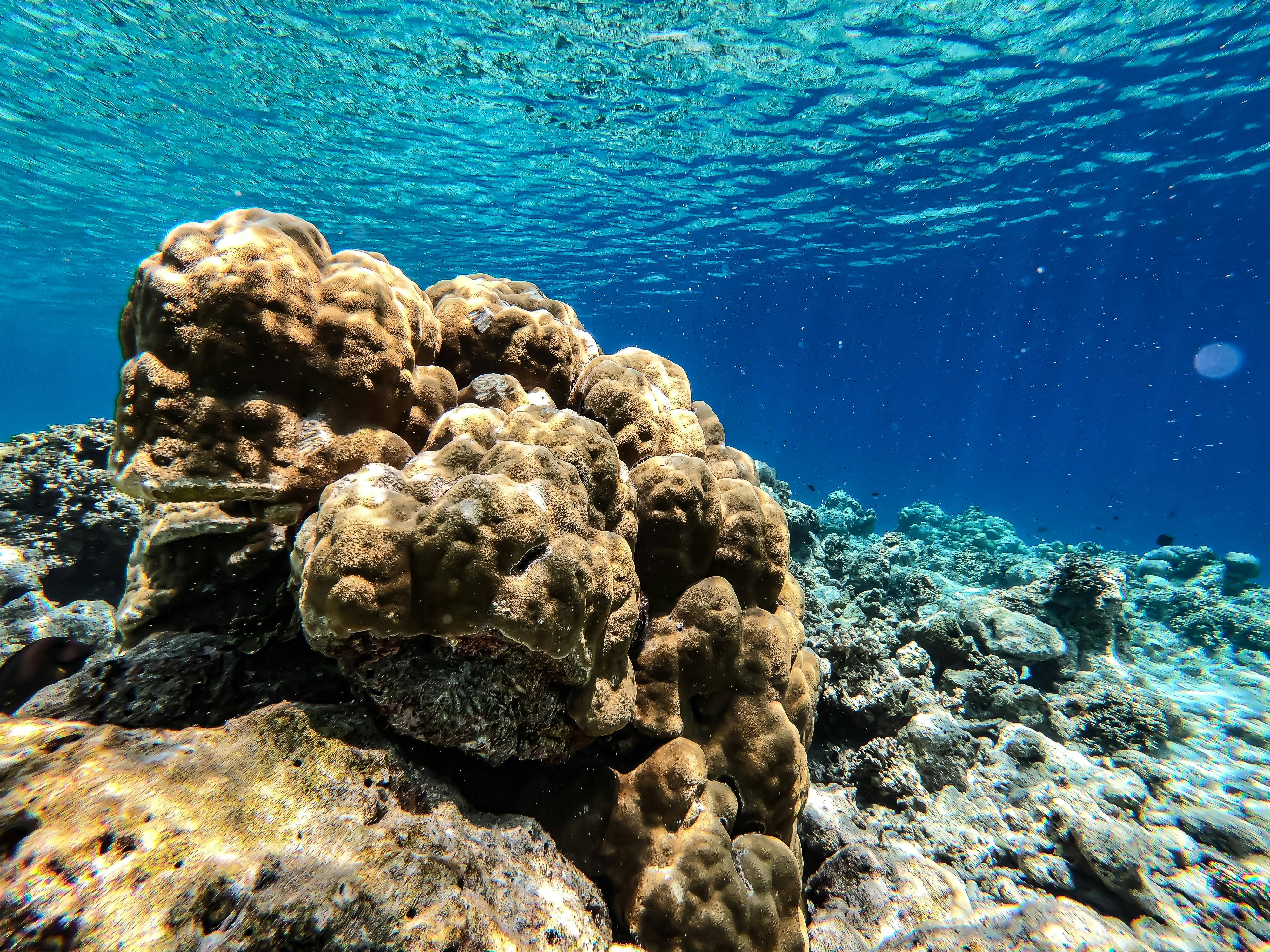 Marine Research
